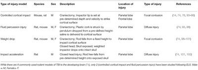 Traumatic Injury to the Developing Brain: Emerging Relationship to Early Life Stress